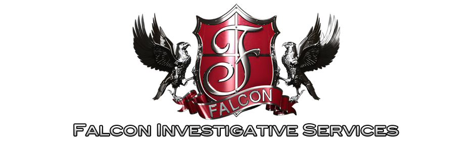 Falcon Investigative Services